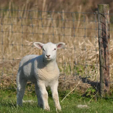 Dieken's Huus בית נופש